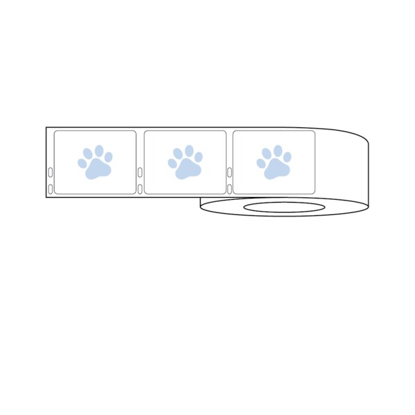 Dymo Prescription Label w/Paw Print 2-3/4" x 2-1/8" White w/Blue
